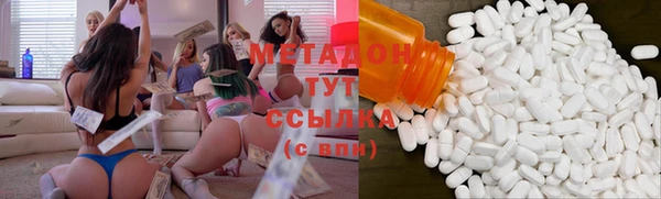 прущие грибы Ладушкин