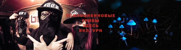 ПСИЛОЦИБИНОВЫЕ ГРИБЫ Липки