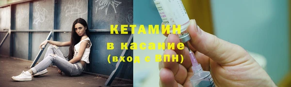 прущие грибы Ладушкин