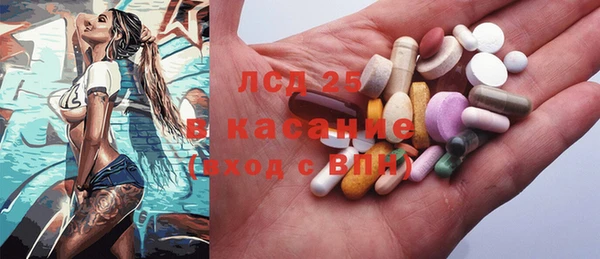 прущие грибы Ладушкин