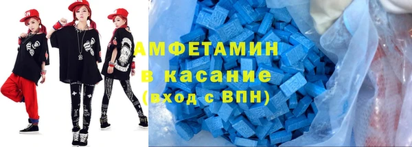 прущие грибы Ладушкин