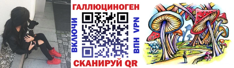 Галлюциногенные грибы Cubensis  Луга 